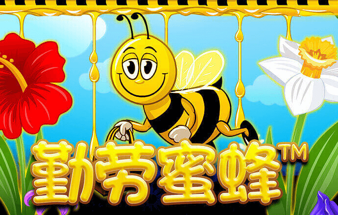 bet9手机版下载